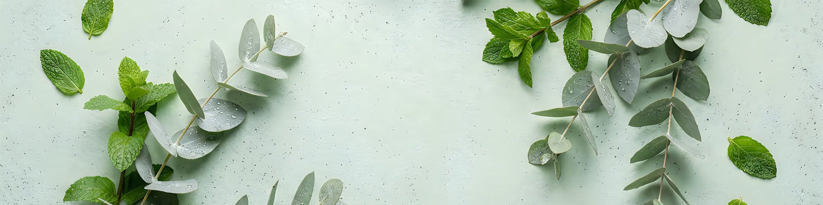 Eucalyptus Mint